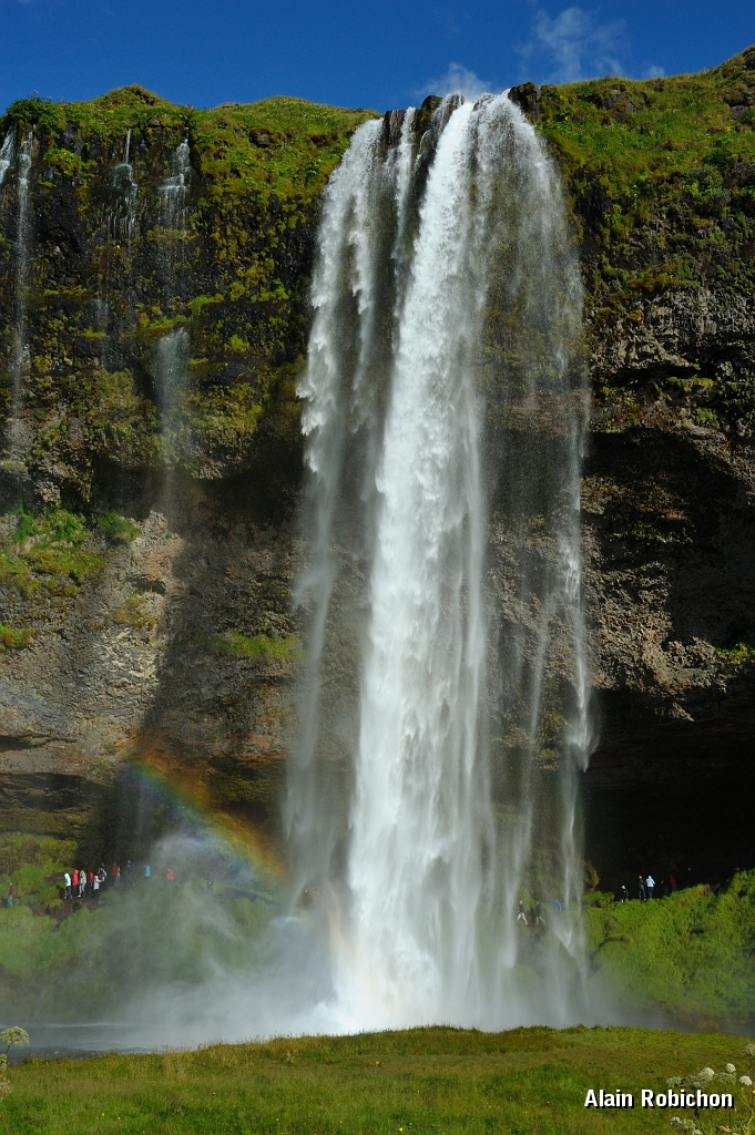 _DSC1697.JPG