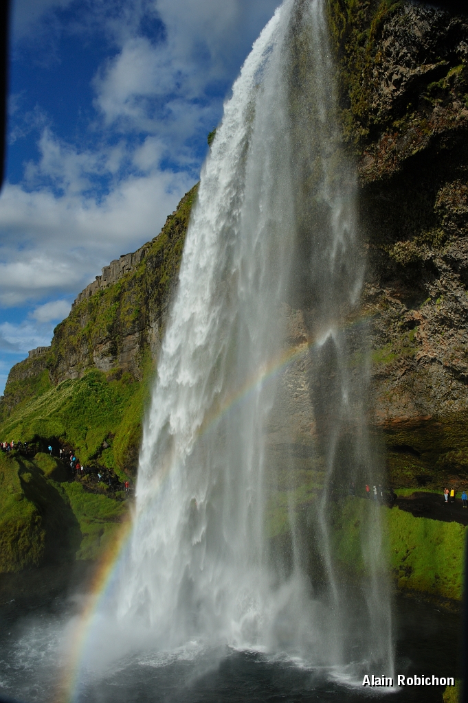 _DSC1700.JPG