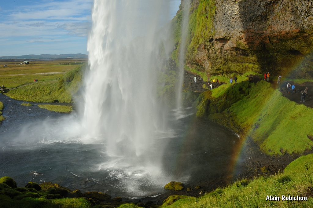 _DSC1704.JPG