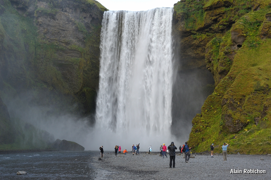 _DSC1722.JPG