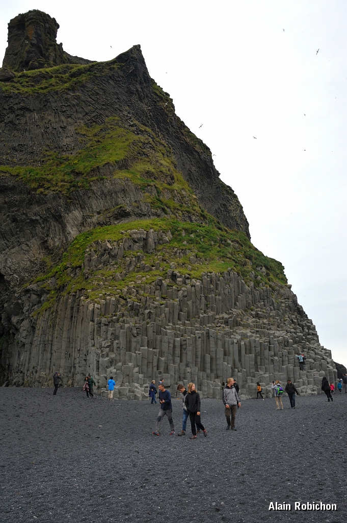 _DSC1798.JPG