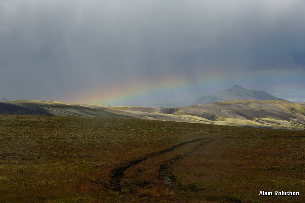 _DSC1984.JPG