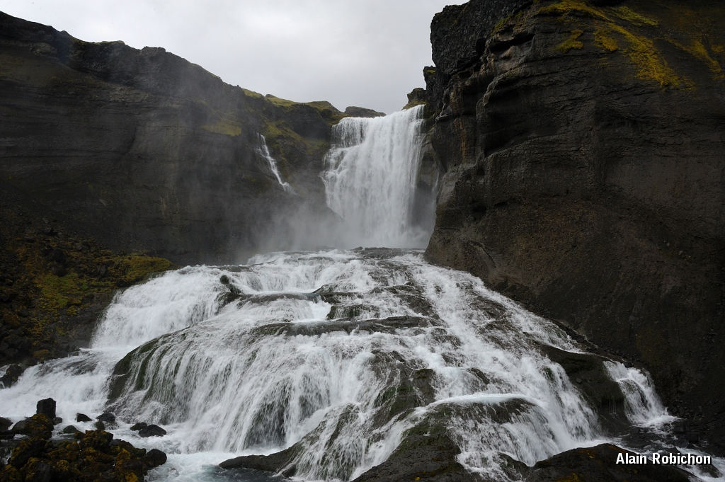 _DSC2003.JPG