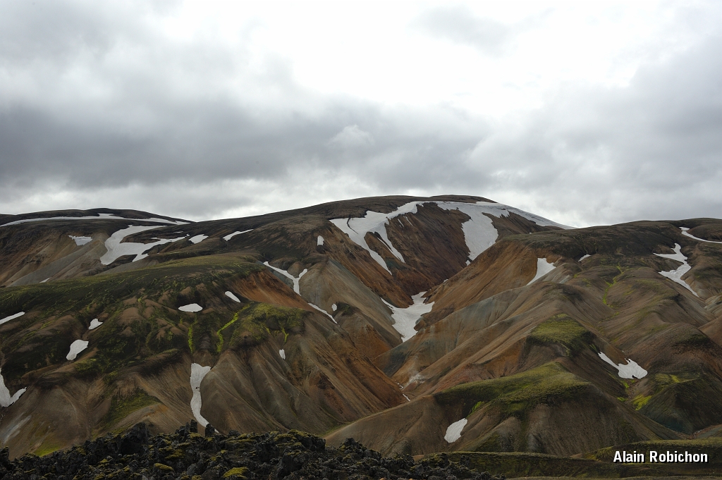 _DSC2060.JPG
