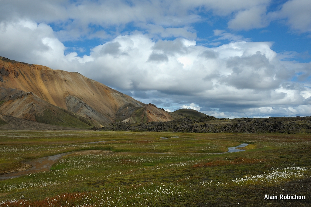 _DSC2083.JPG