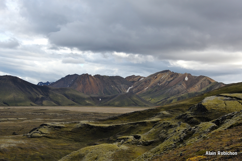 _DSC2107.JPG
