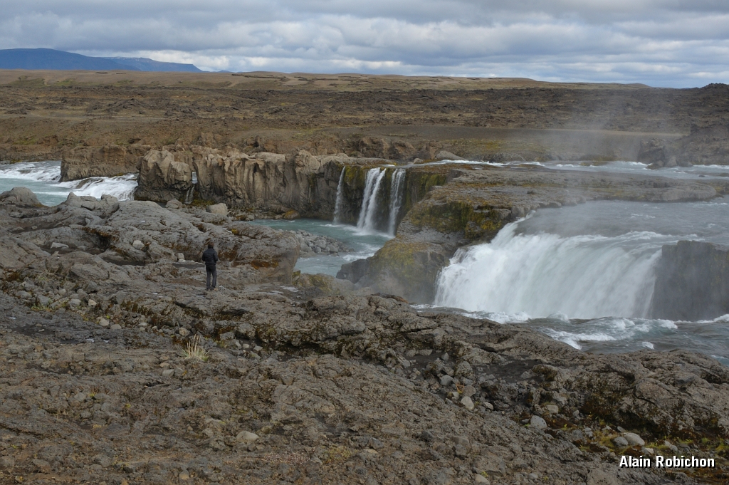 _DSC2123.JPG