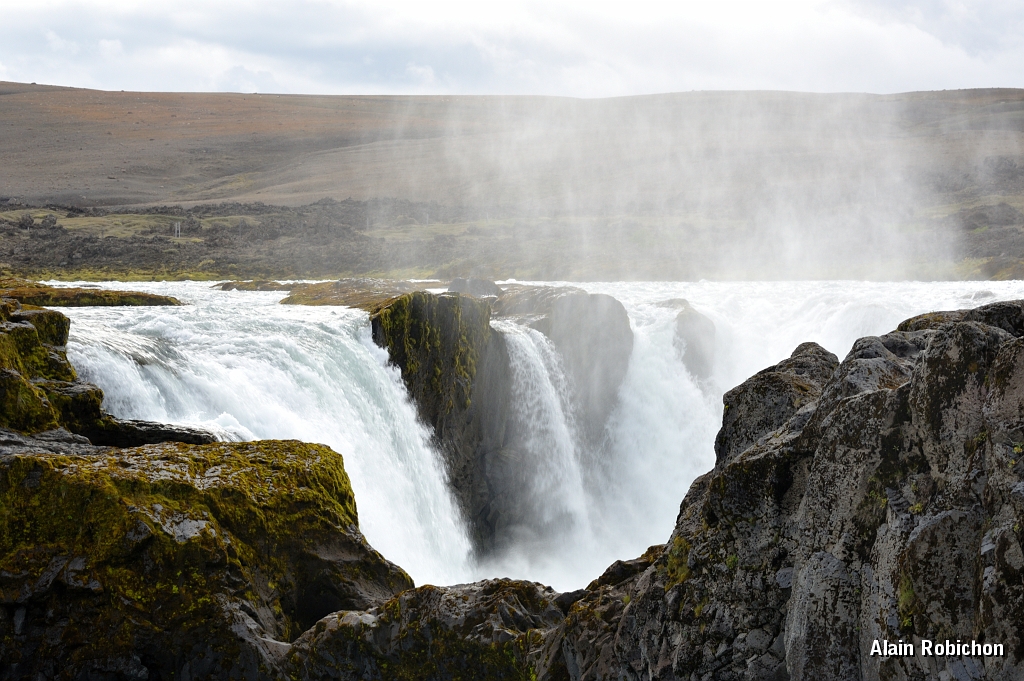 _DSC2136.JPG