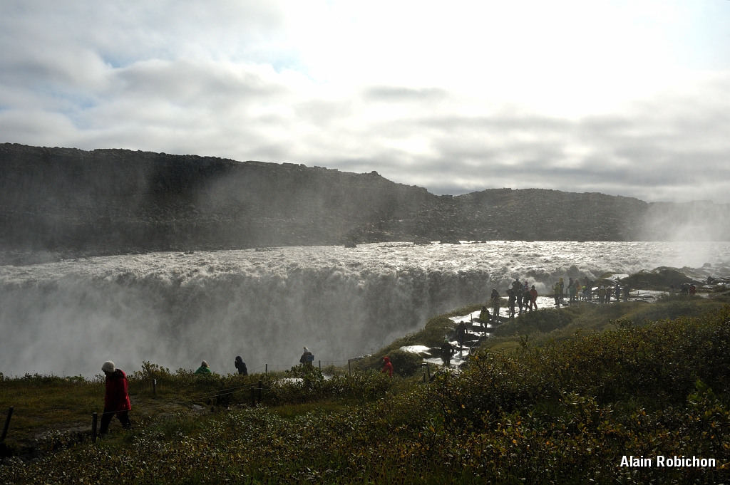 _DSC2288.JPG