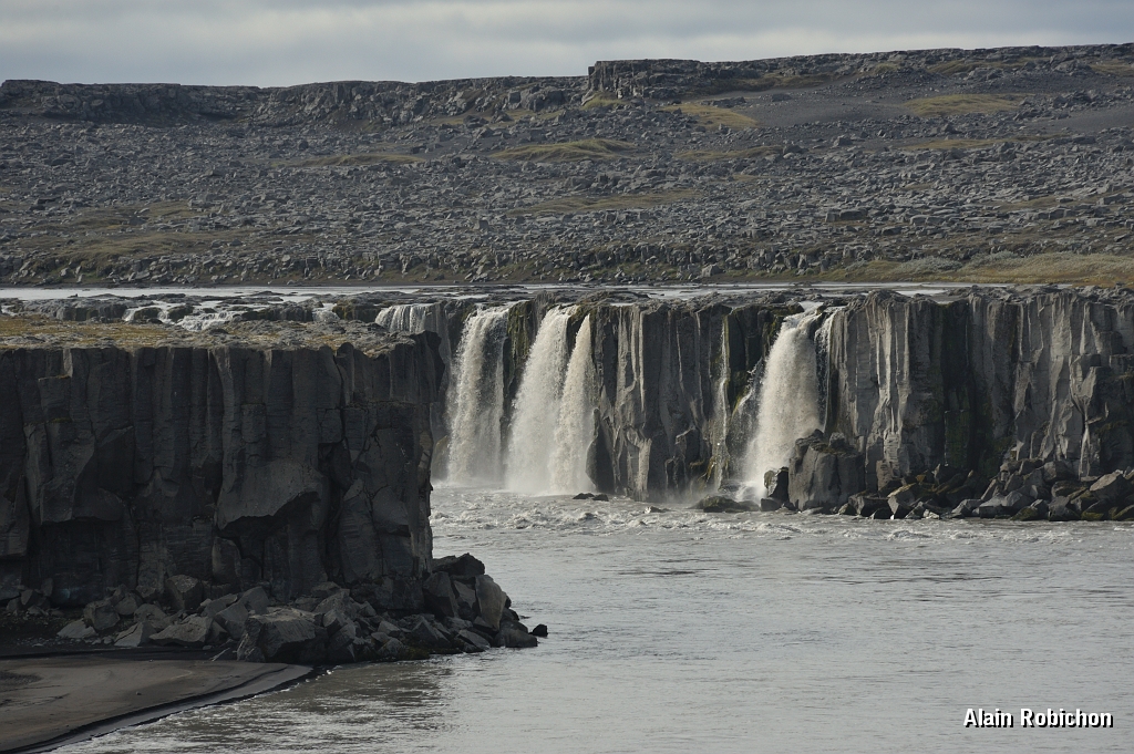_DSC2293.JPG