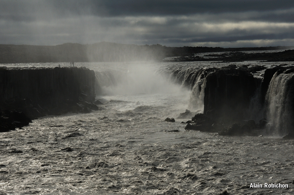 _DSC2302.JPG