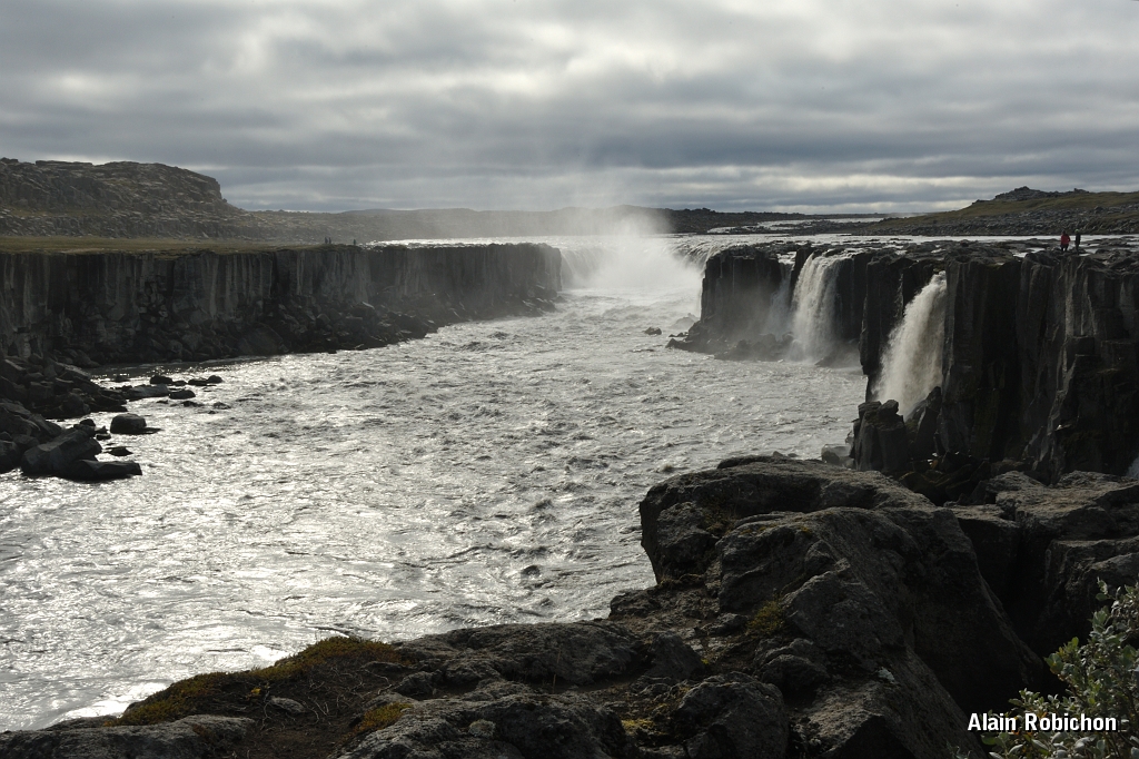 _DSC2303.JPG