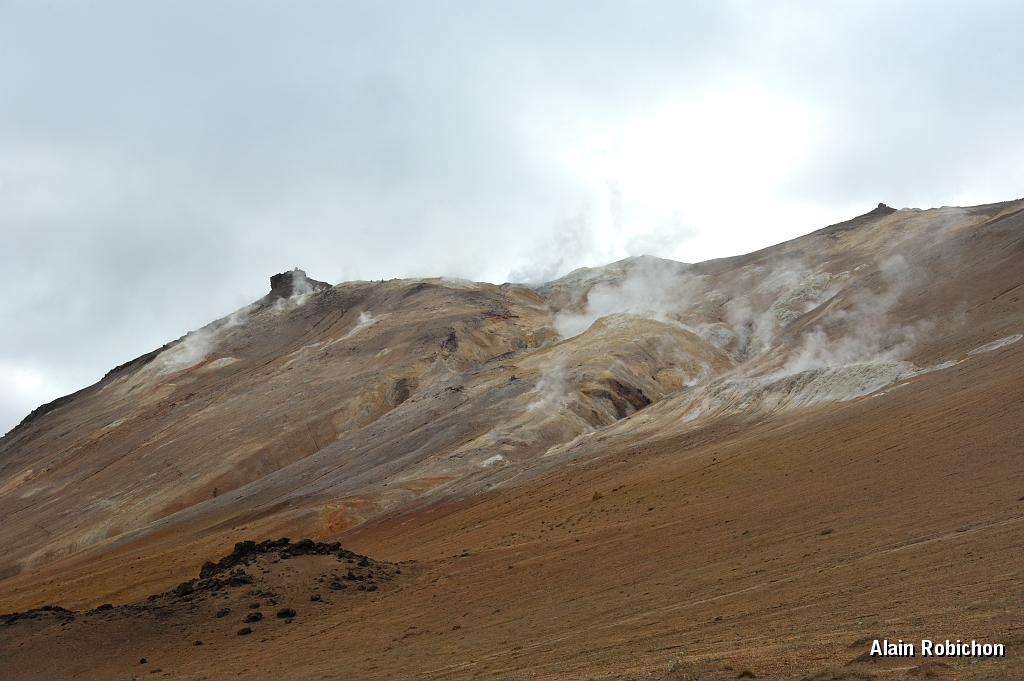 _DSC2346.JPG