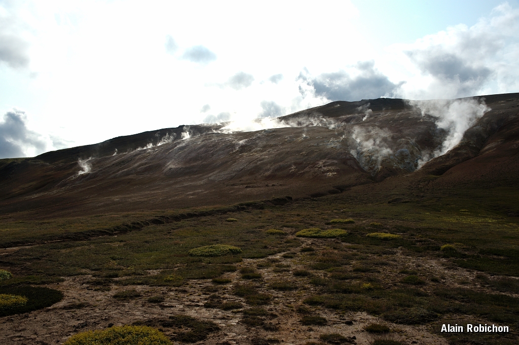 _DSC2359.JPG