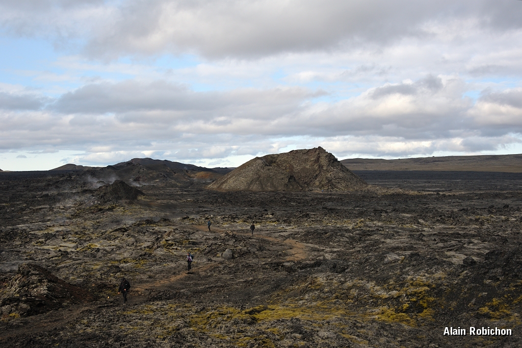 _DSC2364.JPG
