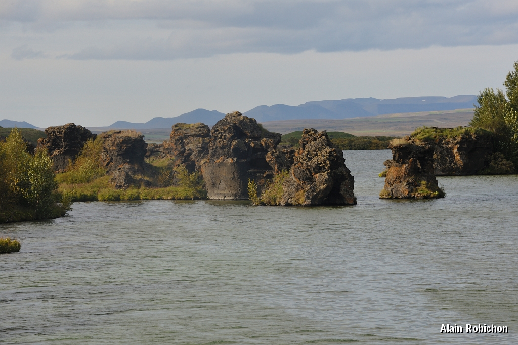 _DSC2420.JPG