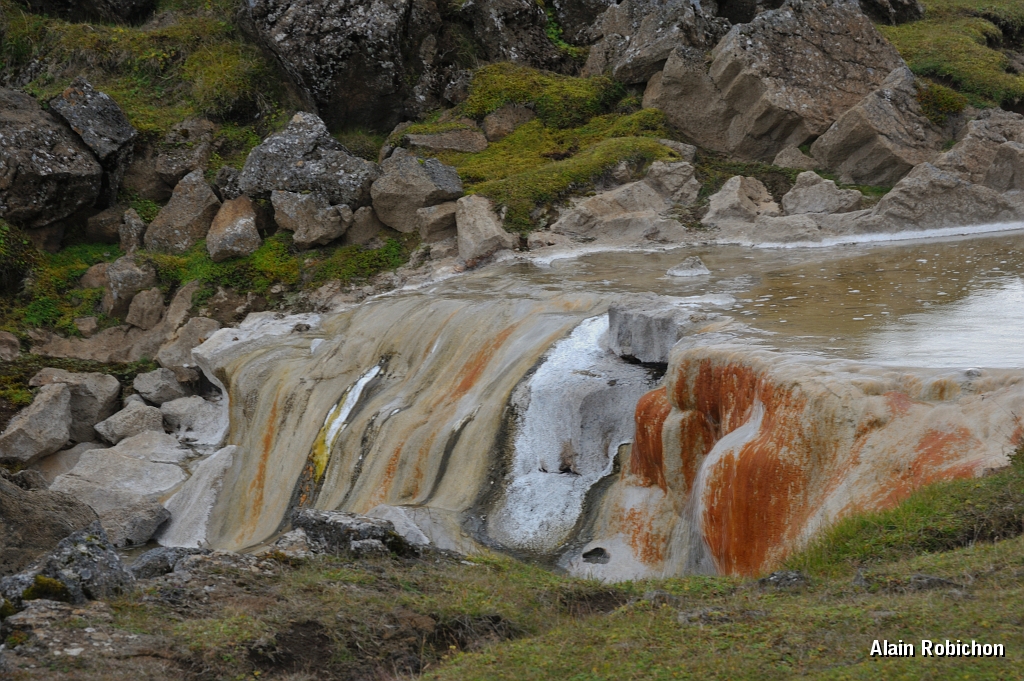 _DSC2443.JPG