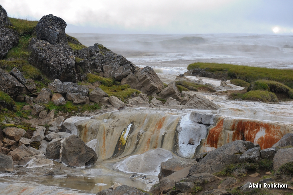 _DSC2473.JPG