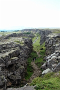 _DSC1642