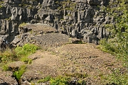 _DSC1668
