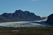 _DSC1954