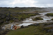 _DSC2442